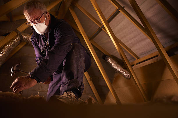 Best Insulation Installation Services in Steubenville, OH